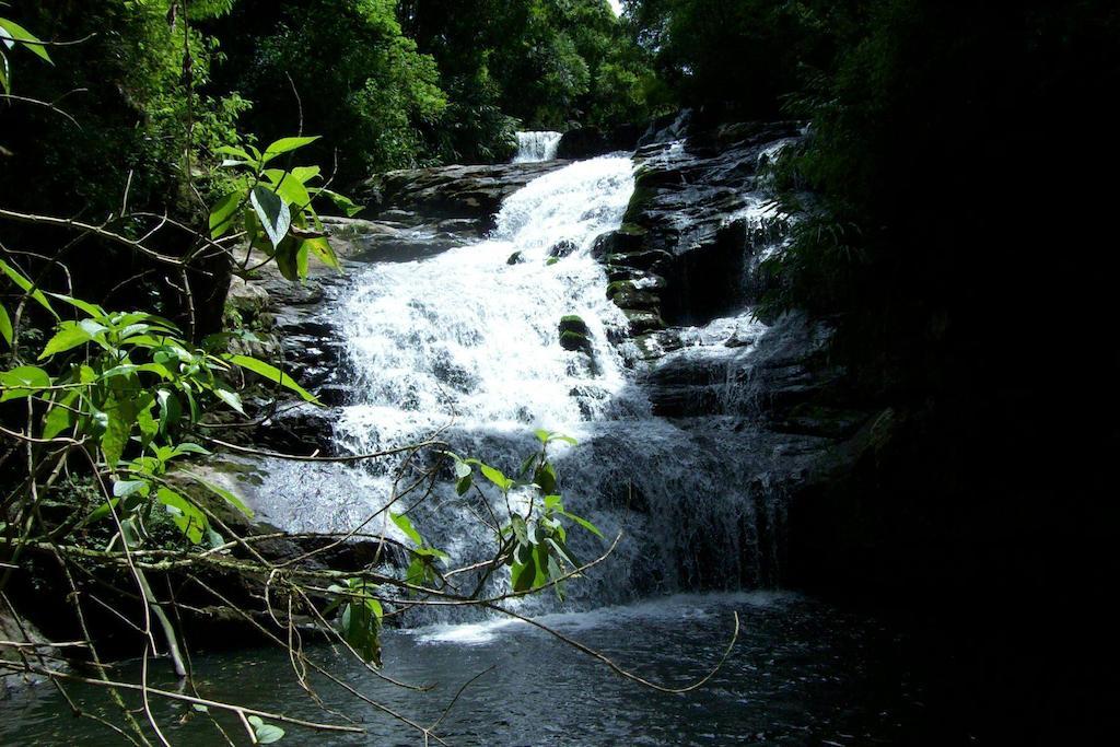 فندق Terra Do Sempre - Reserva Ambiental São Francisco de Paula المظهر الخارجي الصورة