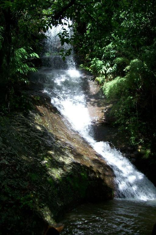 فندق Terra Do Sempre - Reserva Ambiental São Francisco de Paula المظهر الخارجي الصورة